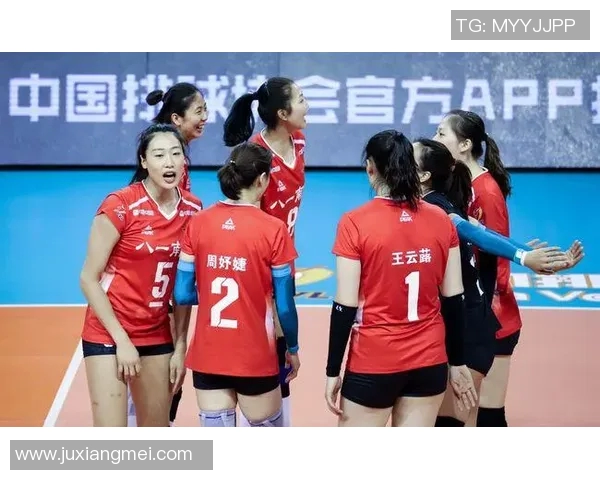 西安排球队的运营揭秘：排球深度分析与策略探讨