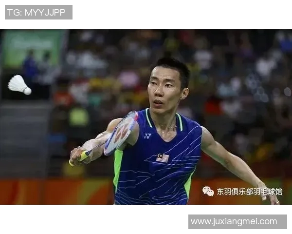 武汉羽毛球队实力对比深度解析与未来发展展望